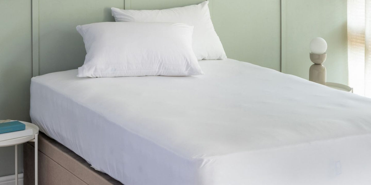 Bed Bugs in a Mattress: How to Spot Them and Get Rid of Them