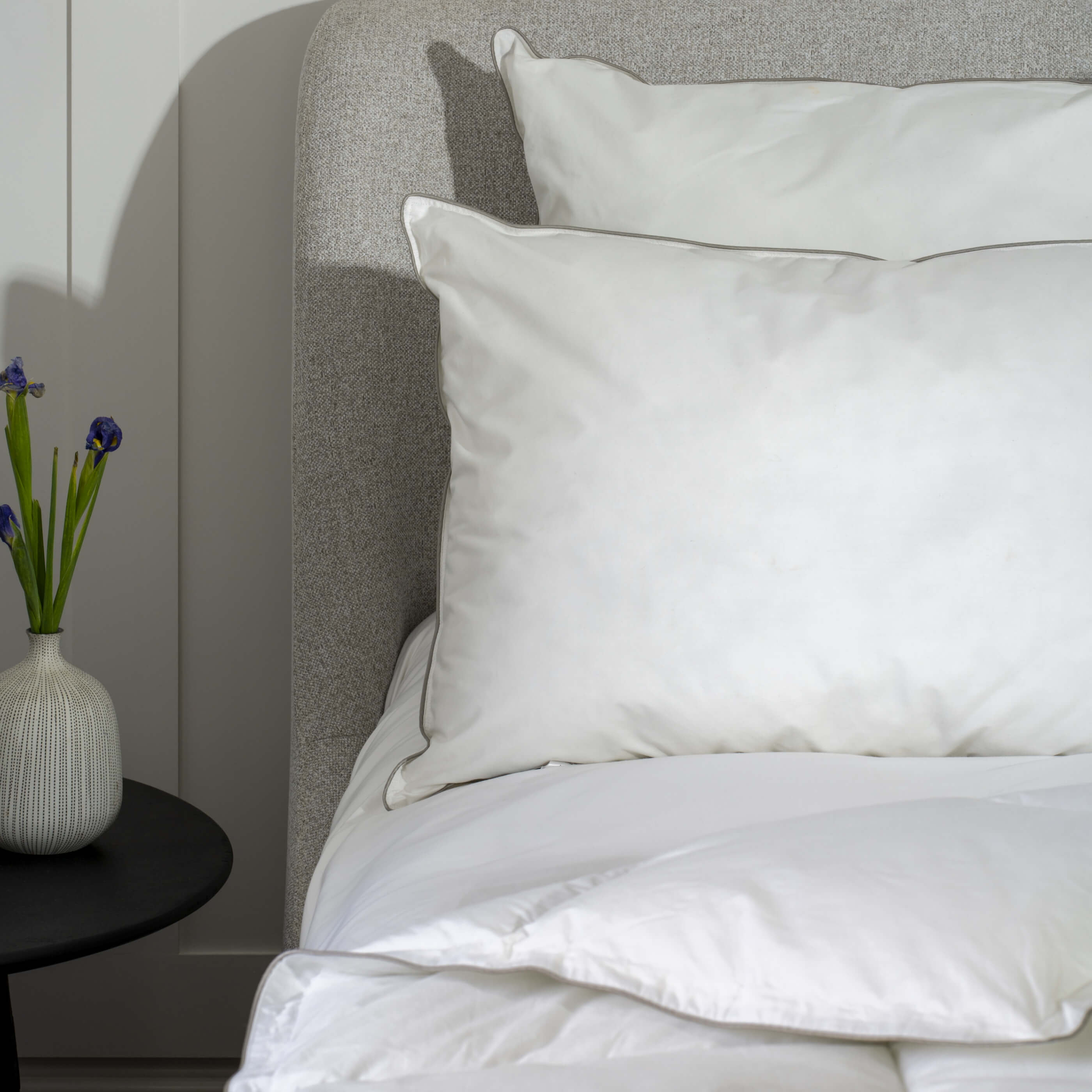 Anti Allergy & Hypoallergenic Pillows