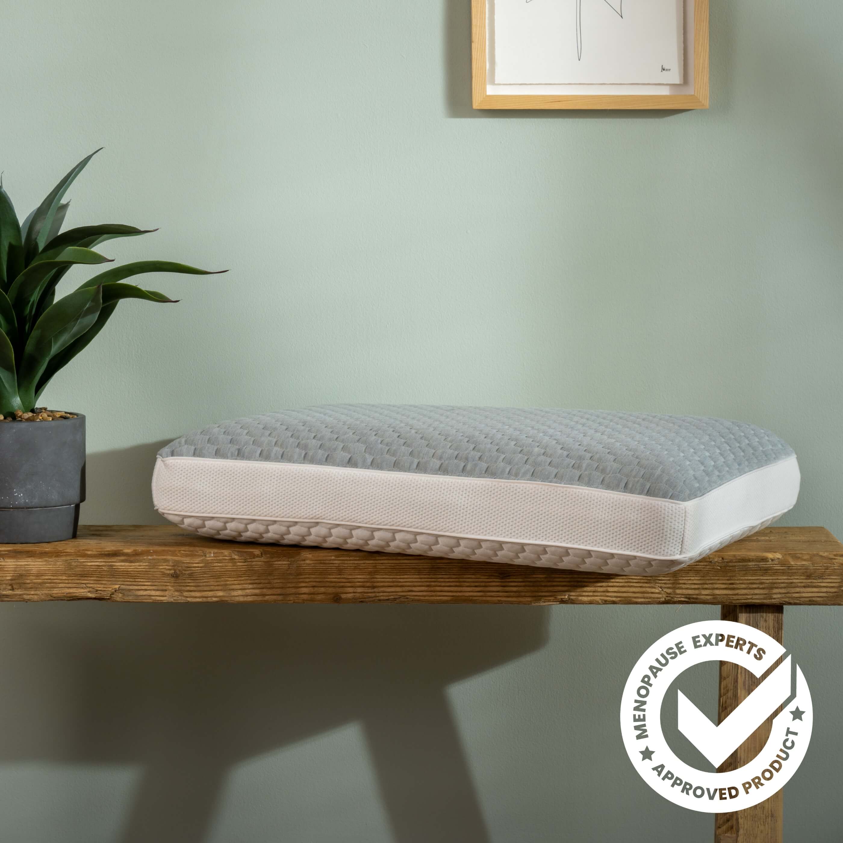 Memory Foam Cooling Pillow