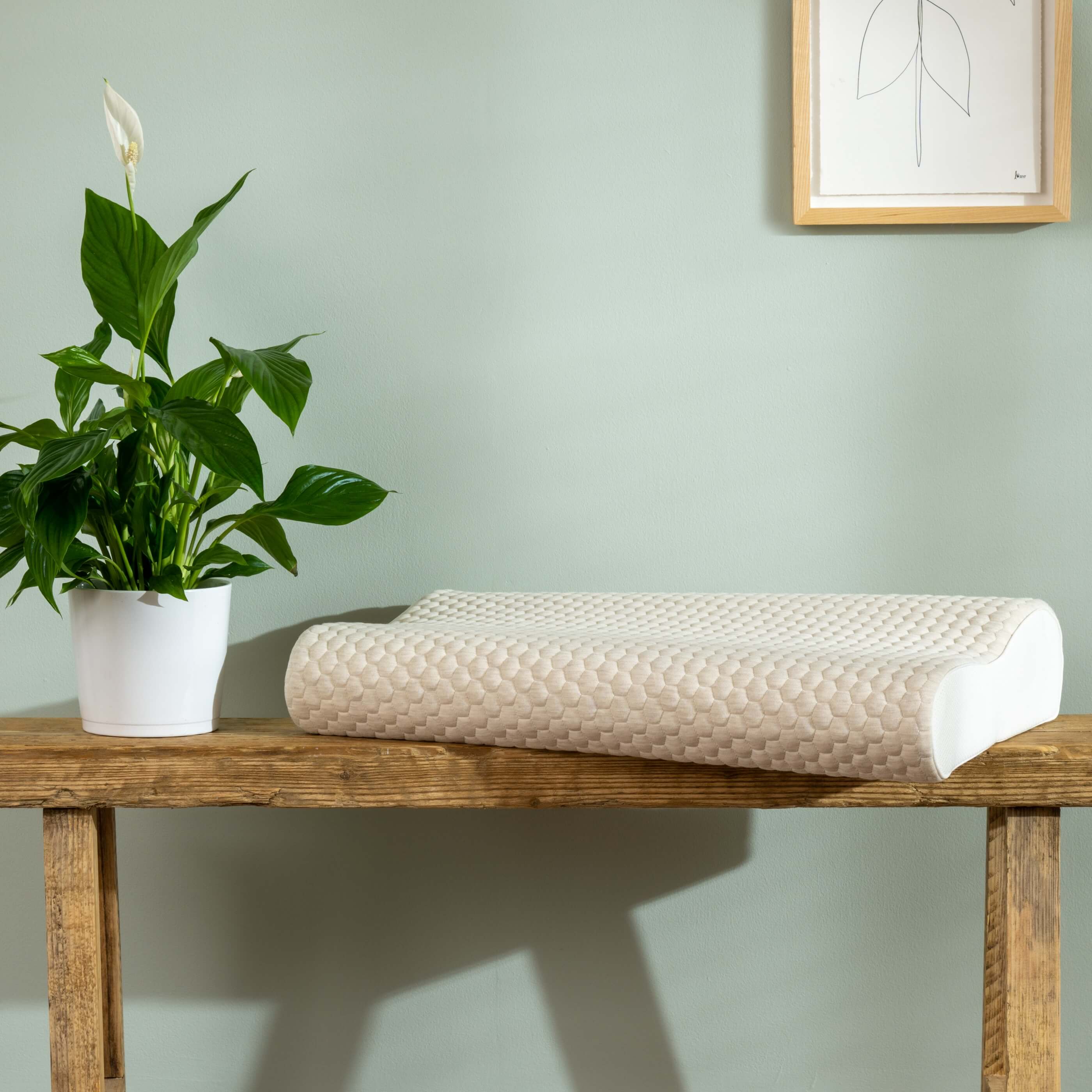 Memory Foam Contour Pillow