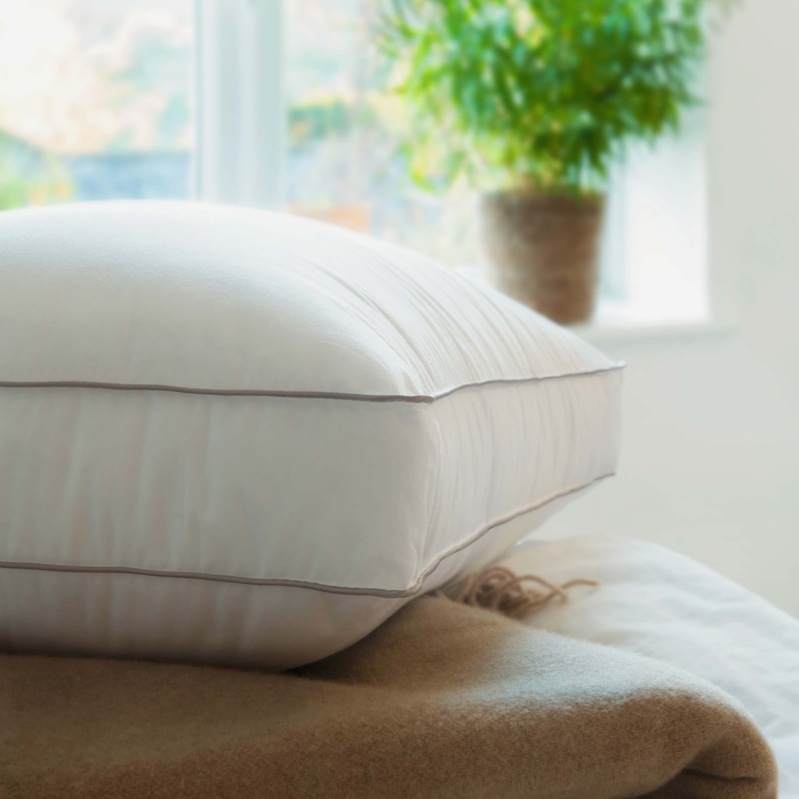 Soft as Down Box Pillow