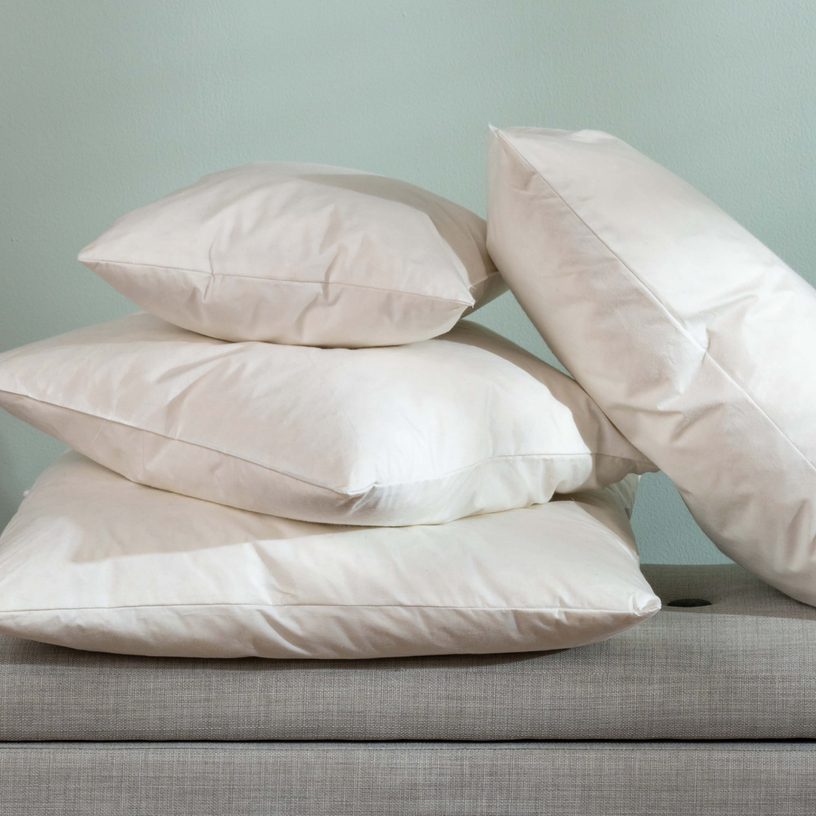 Duck Feather Cushion Pads