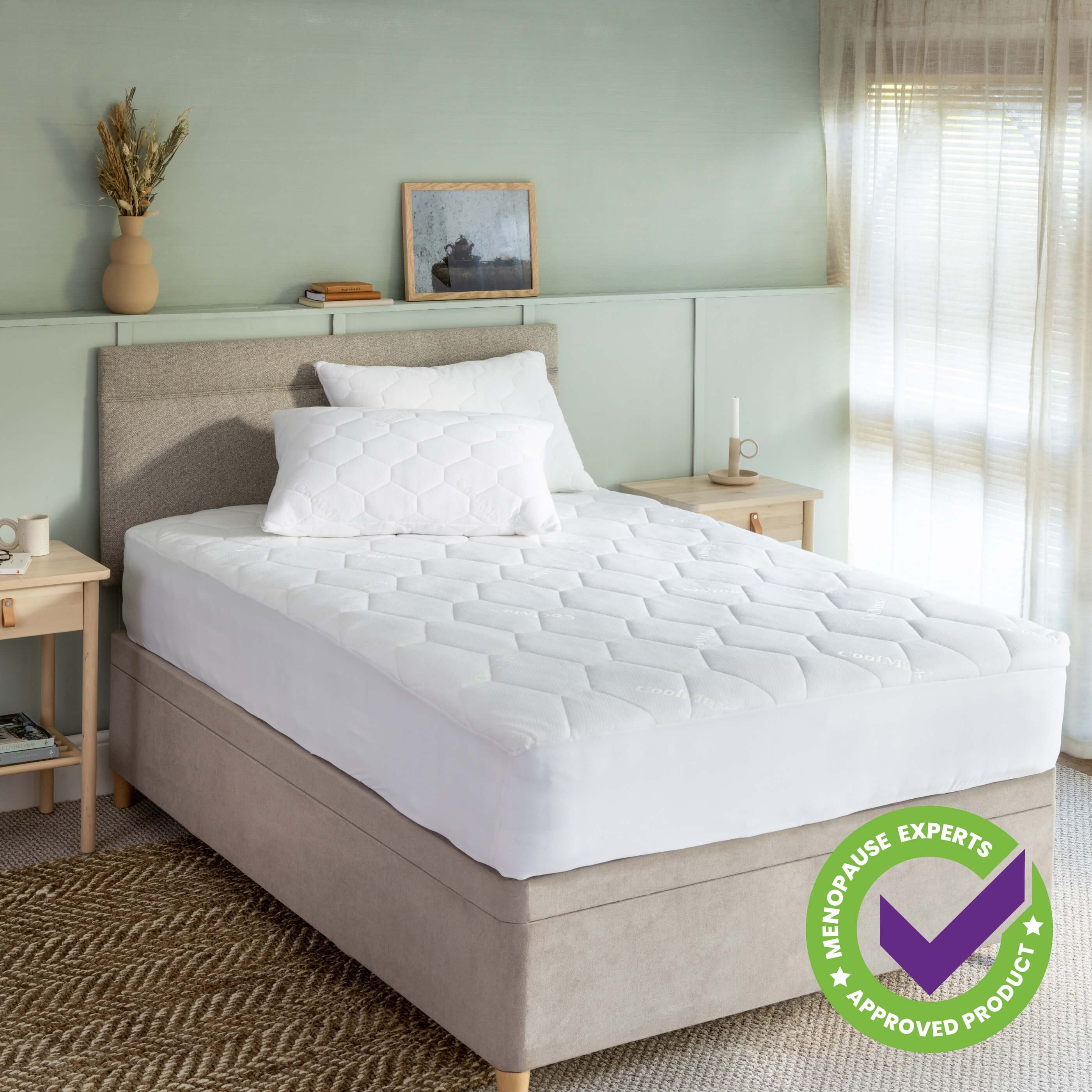 Waterproof Coolmax Pillow Protector