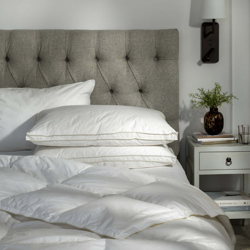Clearance Pillows