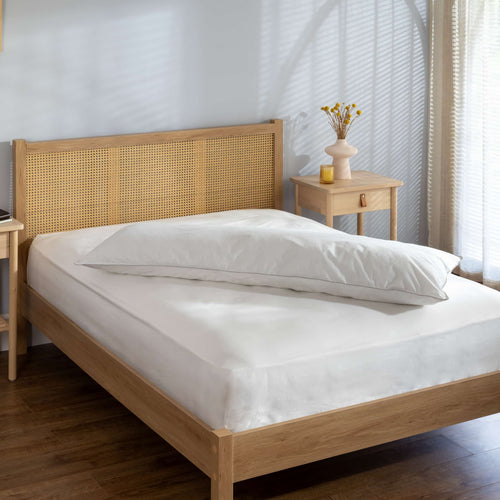 Pregnancy & Maternity Body Pillows