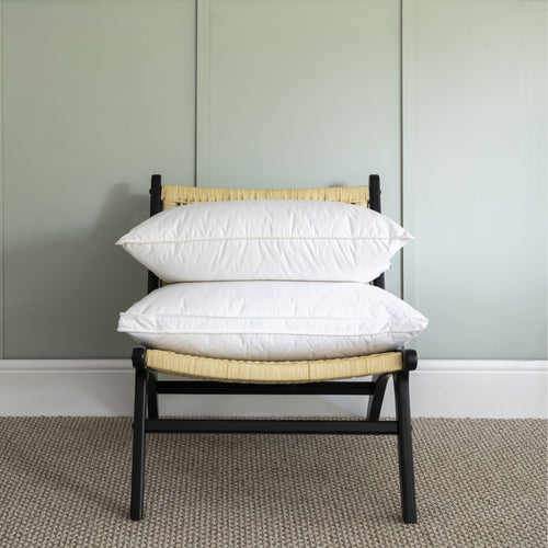 Standard Pillows