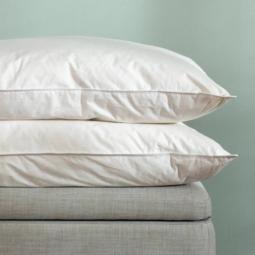 Special Buy Goose Feather & Down Bundle