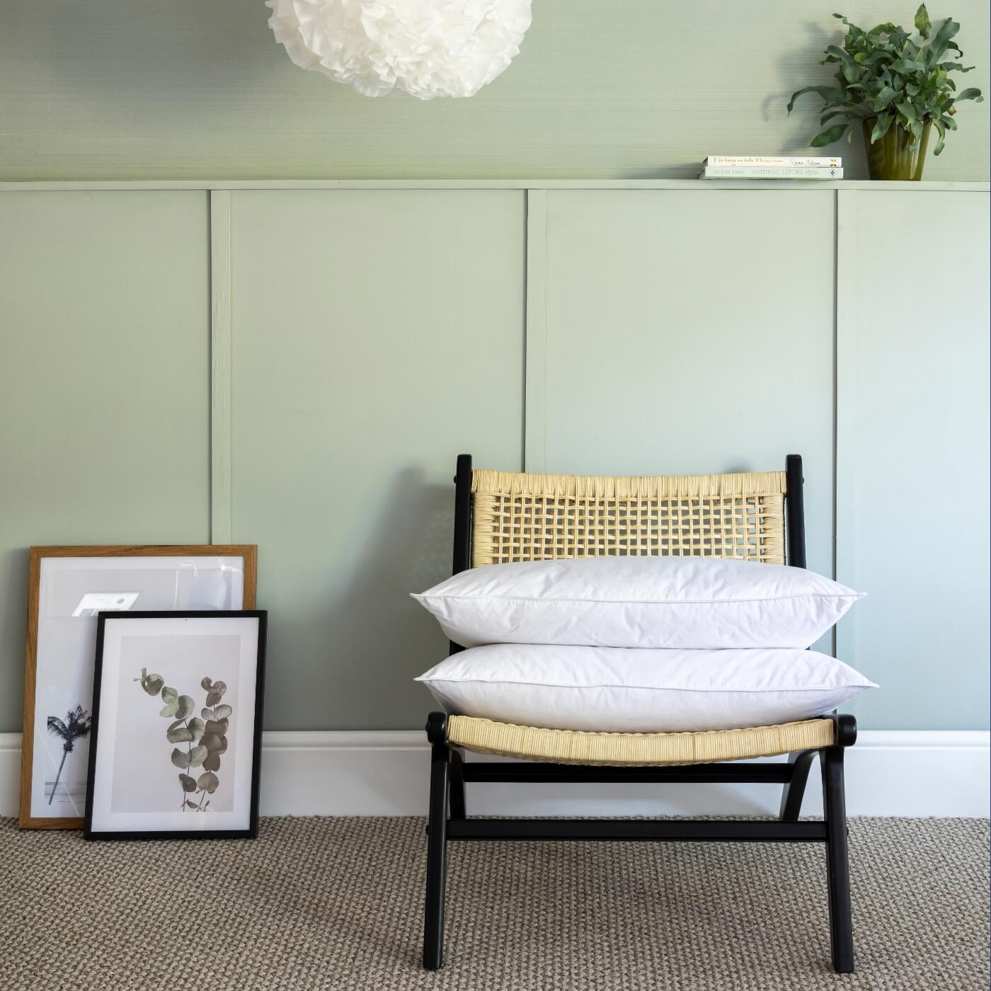 Duck Feather & Down Pillows