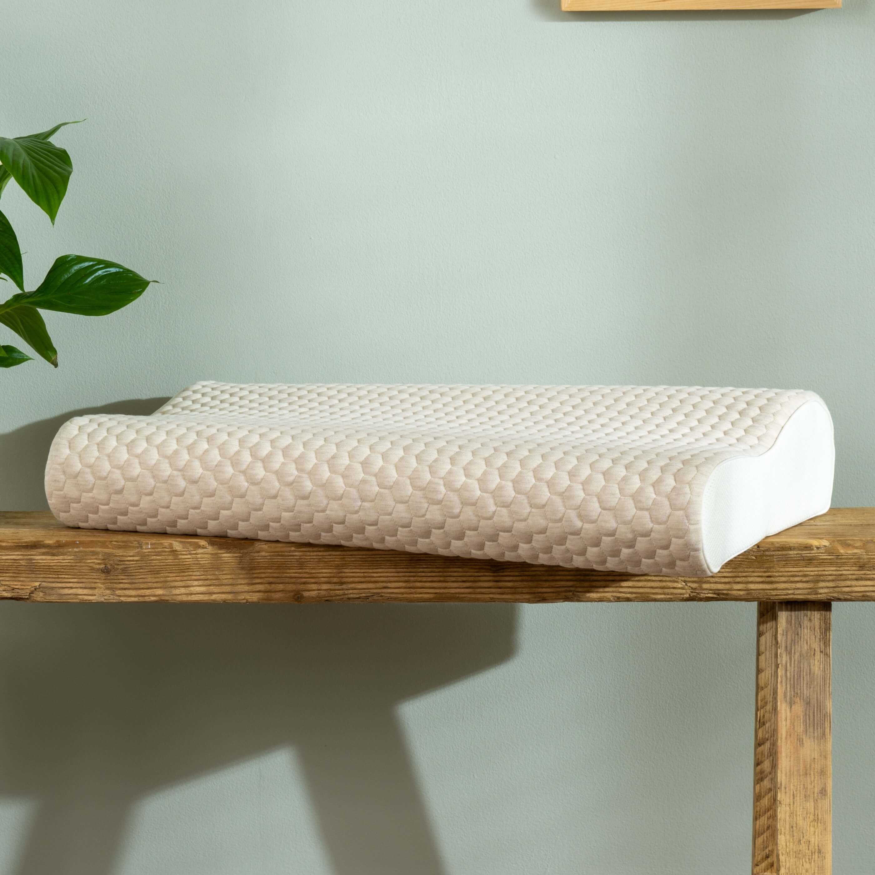 Memory Foam Contour Pillow