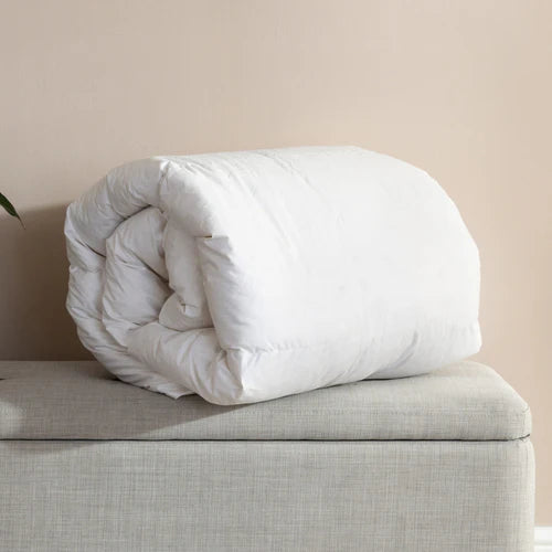Special Buy Goose Feather & Down Bundle