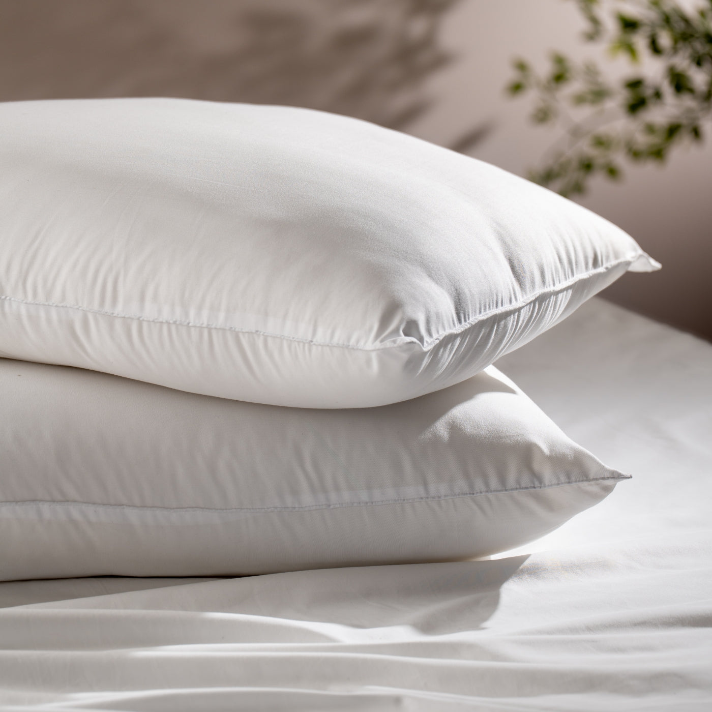 Soft Touch Standard Pillow