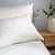 Waterproof Bamboo Pillow Protector