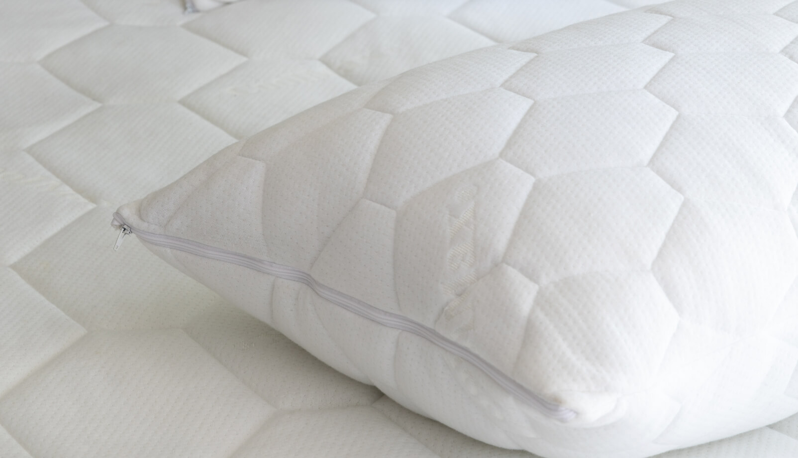Bedding & Mattress Protectors