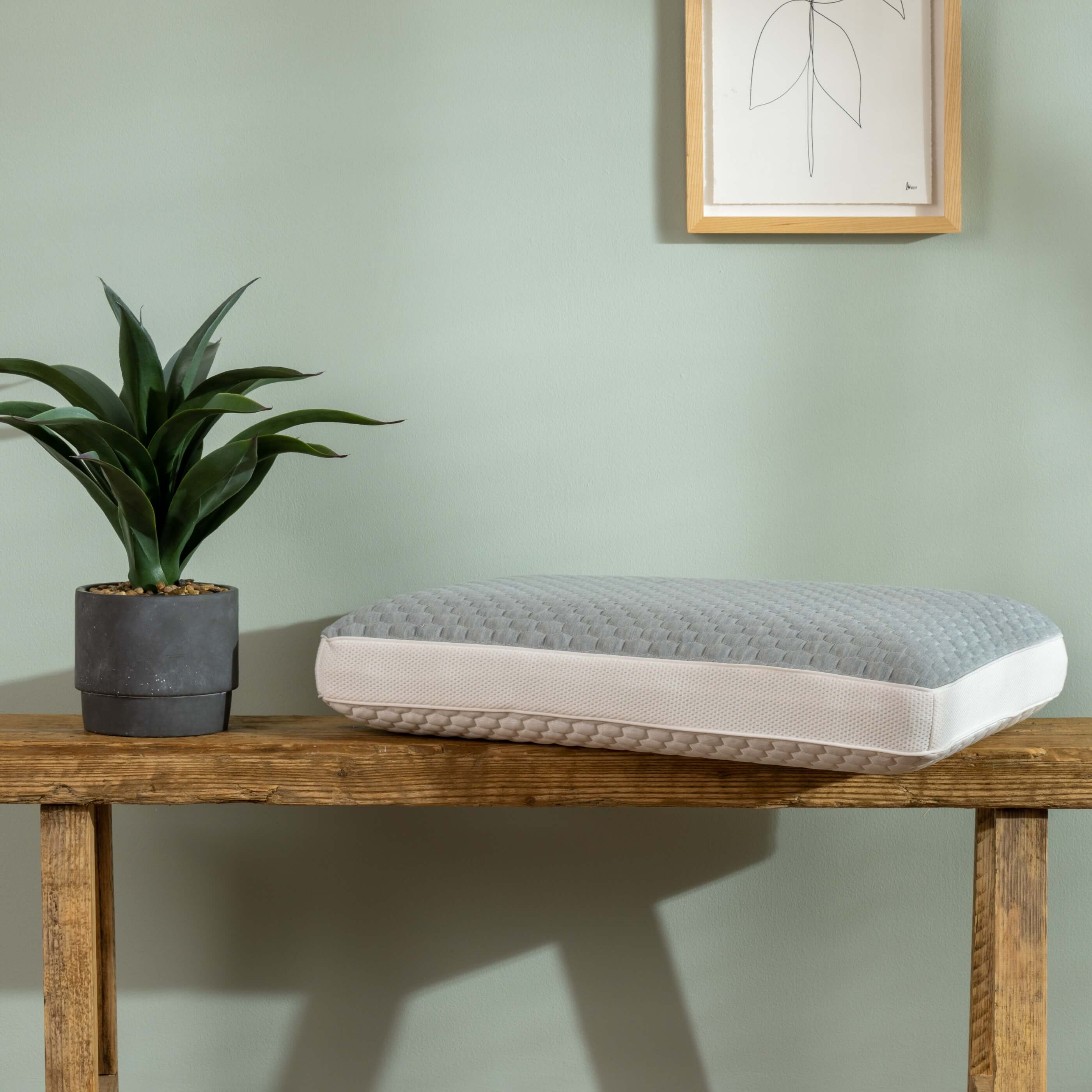 Memory Foam Pillows
