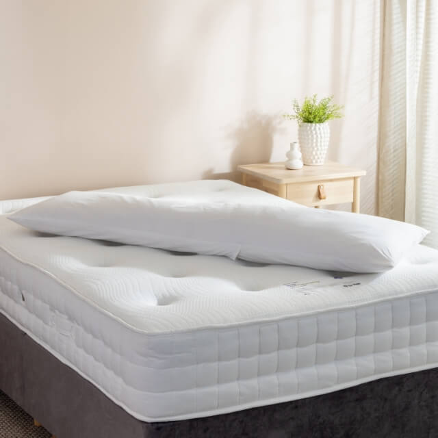 Pregnancy & Maternity Body Pillows