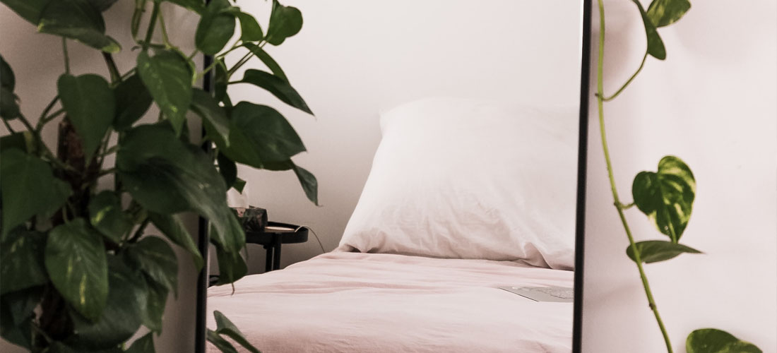 6 bedroom plants that will help you sleep I Soak&Sleep