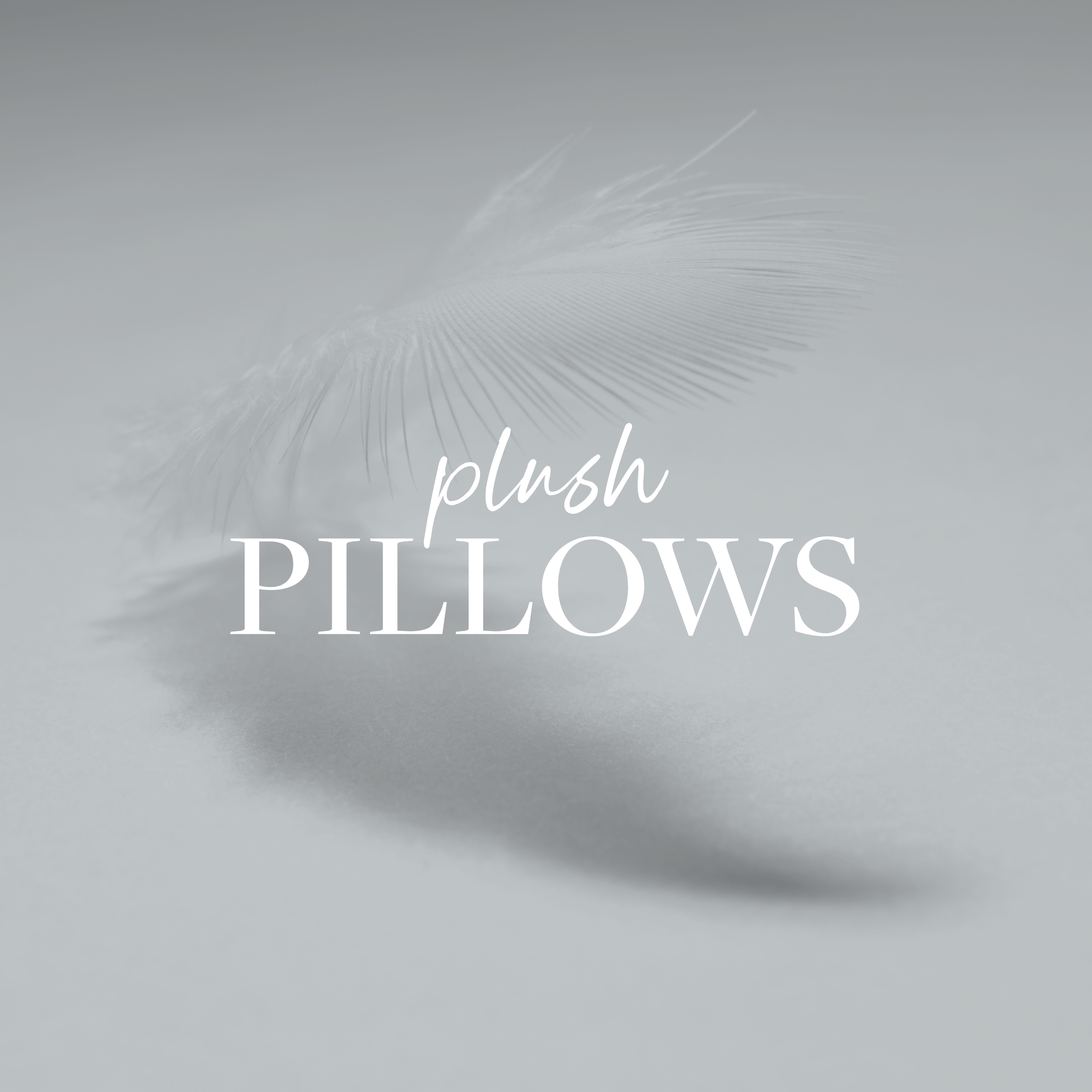 Plush Pillows