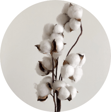 Natural Cotton