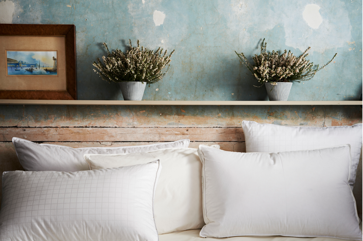Soak&Sleep pillows against a rustic wall, with shelf holding plants and photo frame
