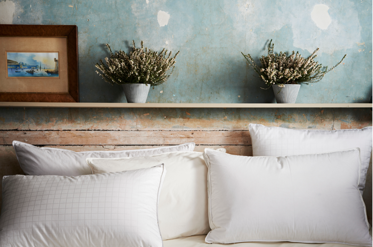 Soak&Sleep pillows against a rustic wall, with shelf holding plants and photo frame 