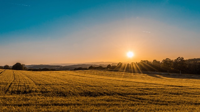 clear sky sunrise over field